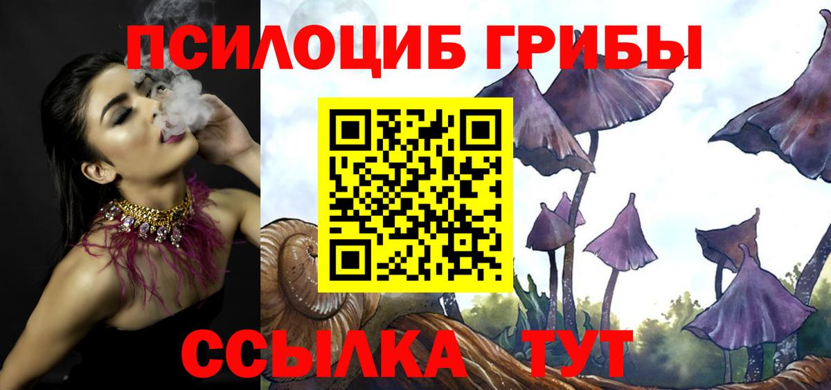 Псилоцибиновые грибы Psilocybine cubensis  Вход с VPN  Ноябрьск  Псилоцибиновые грибы прущие грибы 